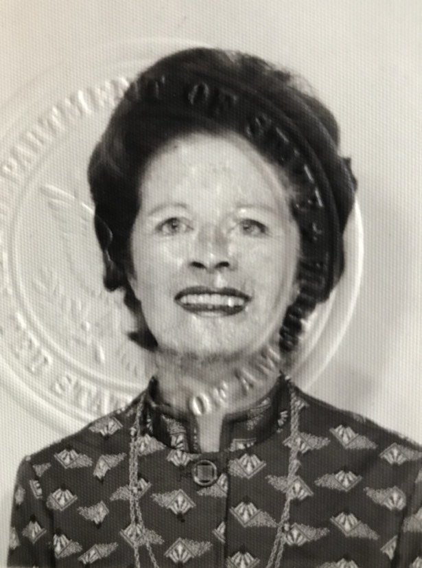 Image 1b